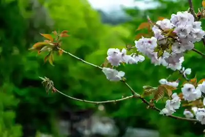 戸隠神社九頭龍社(長野県)
