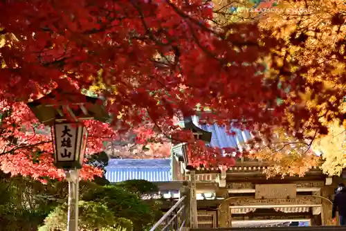 最乗寺（道了尊）(神奈川県)