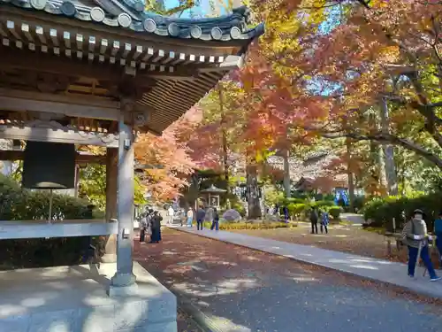 大興善寺(佐賀県)