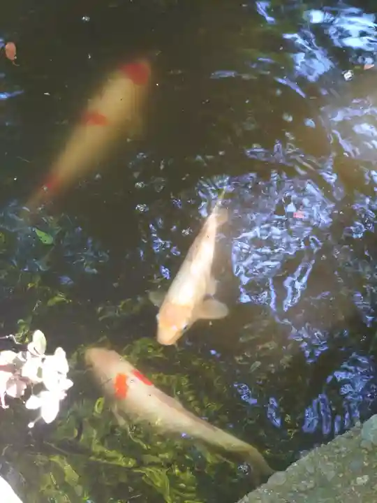 無量光寺(神奈川県)