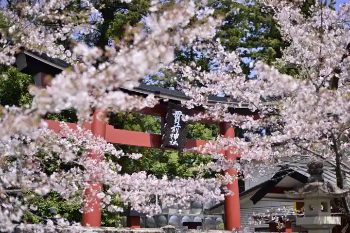 一之宮貫前神社の自然