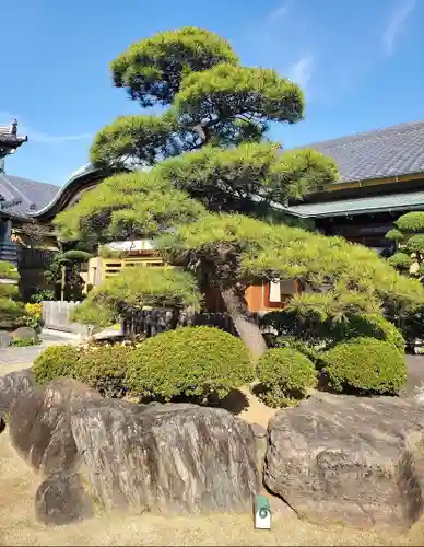 最勝寺の庭園