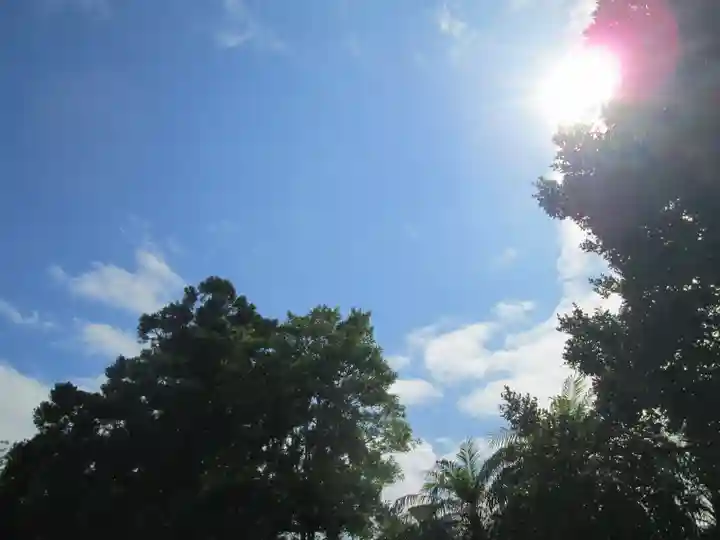 屋久島大社の自然