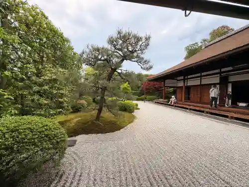 興臨院の{uncategorized: "未分類", other: "その他", undefined: "問題あり", building: "その他建物", grave: "お墓", sacred_gate: "鳥居", guardian: "狛犬", statue: "像", buddha: "仏像", history: "歴史", nature: "自然", garden: "庭園", animal: "動物", pagoda: "塔", temizu: "手水舎", mountain_gate: "山門・神門", sanctuary: "本殿・本堂", subordinate: "末社・摂社", art: "芸術", scenery: "景色", jizo: "地蔵", ema: "絵馬", goshuin: "御朱印", omikuji: "おみくじ", items: "授与品その他", amulet: "お守り", goshuincho: "御朱印帳", eats: "食事", festival: "お祭り", votive_dance: "神楽", shichigosan: "七五三参", wedding: "結婚式", experience: "体験その他", initially: "初詣", around: "周辺", anti_infection: "感染症対策"}