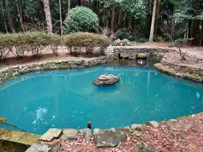 大麻比古神社(徳島県)