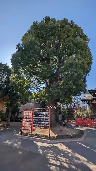 東京羽田 穴守稲荷神社(東京都)