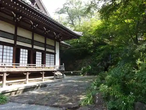 妙蓮寺の建物その他