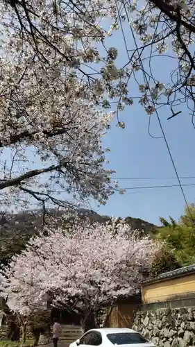 宝菩提院願徳寺の自然