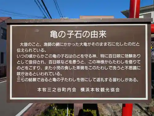 亀の子石神社（亀の子様）(神奈川県)