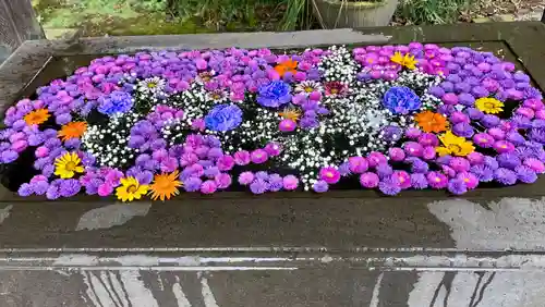 行田八幡神社の手水舎