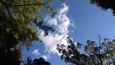 東雲神社の自然