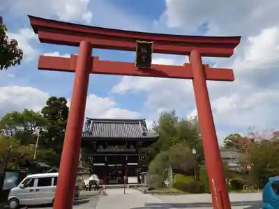 梅宮大社の鳥居