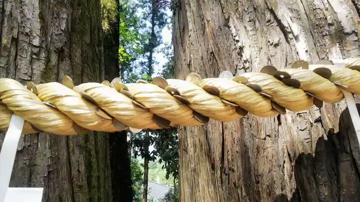 聖神社のその他建物