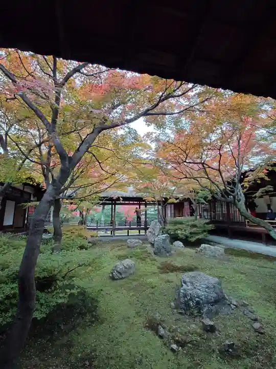 建仁寺(建仁禅寺)(京都府)