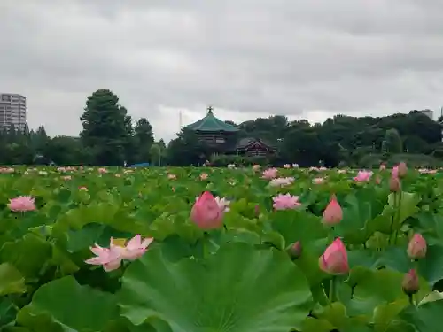 寛永寺不忍池弁天堂(東京都)