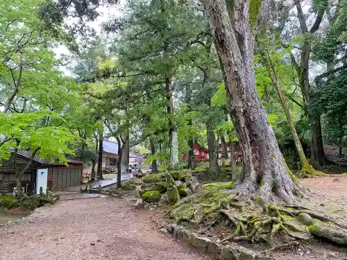 手向山八幡宮のその他建物