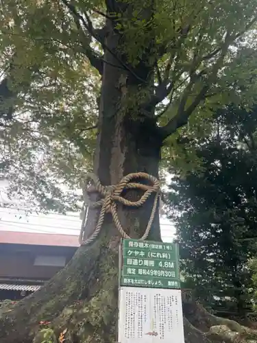 出雲大社相模分祠(神奈川県)