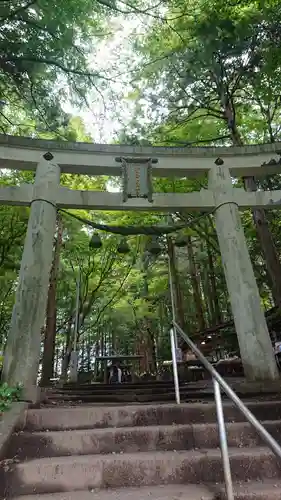 宝登山神社奥宮の鳥居