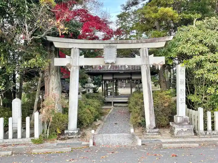 白鬚神社の鳥居