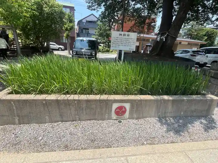 鎮守氷川神社(埼玉県)