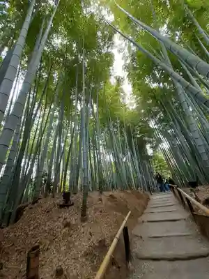 高台寺（高台寿聖禅寺・高臺寺）(京都府)