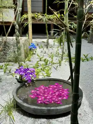 西来院(京都府)