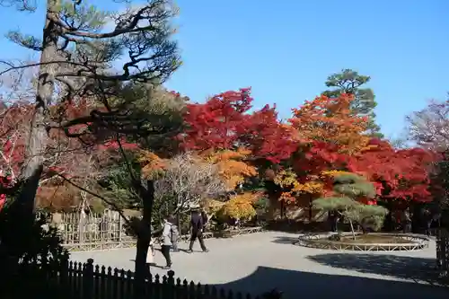 二尊院の庭園