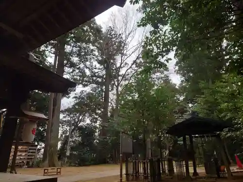 成田熊野神社のその他建物