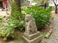 清水寺の狛犬