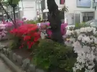 鶴岡八幡宮の自然