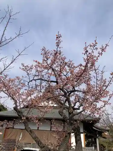 善福寺(神奈川県)