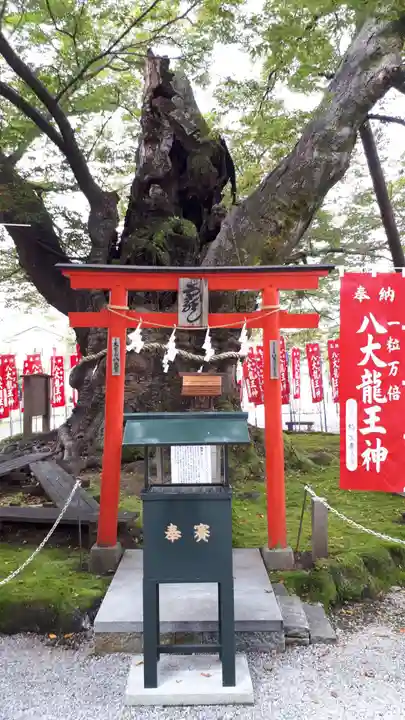 秩父今宮神社(埼玉県)