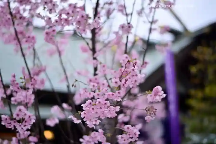 東京大神宮(東京都)
