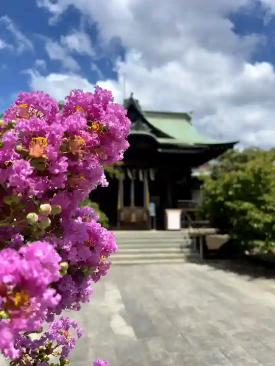 桜神宮(東京都)