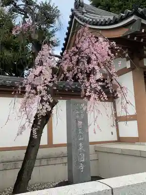 阿佐ヶ谷神明宮(東京都)