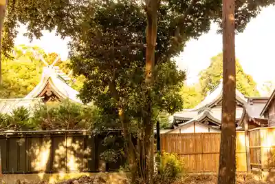 武蔵一宮氷川神社(埼玉県)