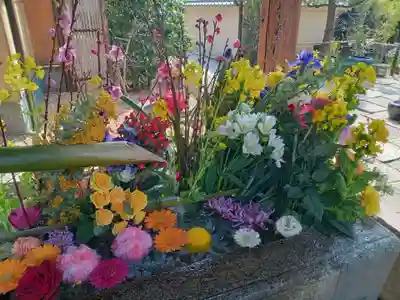 勝林寺(京都府)