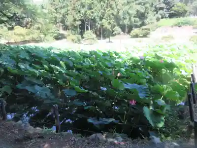 久昌寺(埼玉県)