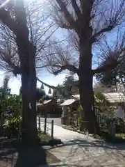 亀ケ池八幡宮(神奈川県)