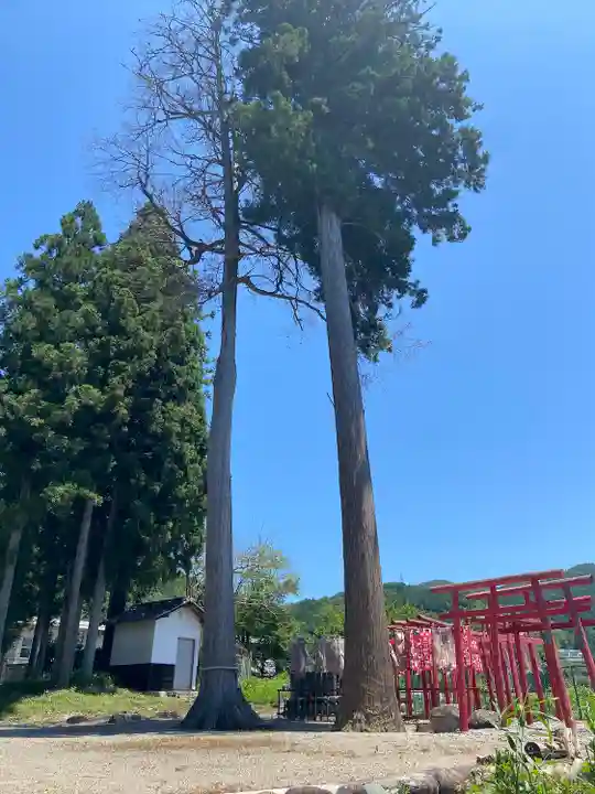 南宮神社の自然