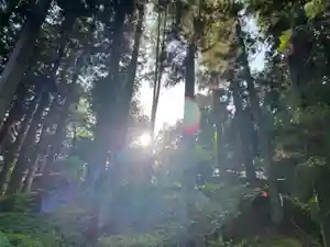 大宮温泉神社(栃木県)(2023年05月25日(木) 09時09分10秒投稿)