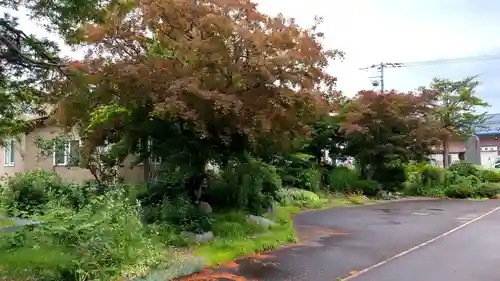 妙光寺の庭園