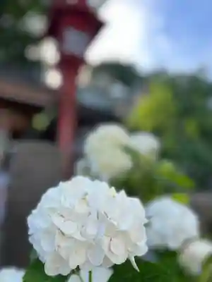 川越八幡宮(埼玉県)