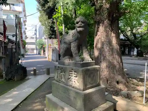 駒込天祖神社の狛犬