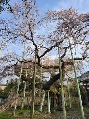 般若院(茨城県)