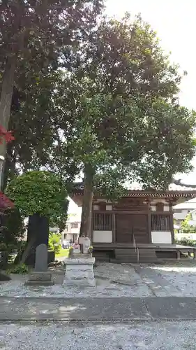 東光寺の本殿