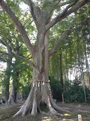 水戸八幡宮(茨城県)