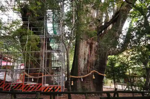 八坂神社(高知県)