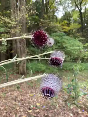 十二山神社(群馬県)