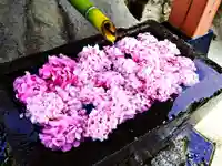 差出磯大嶽山神社 仕事と健康と厄よけの神さまの手水舎